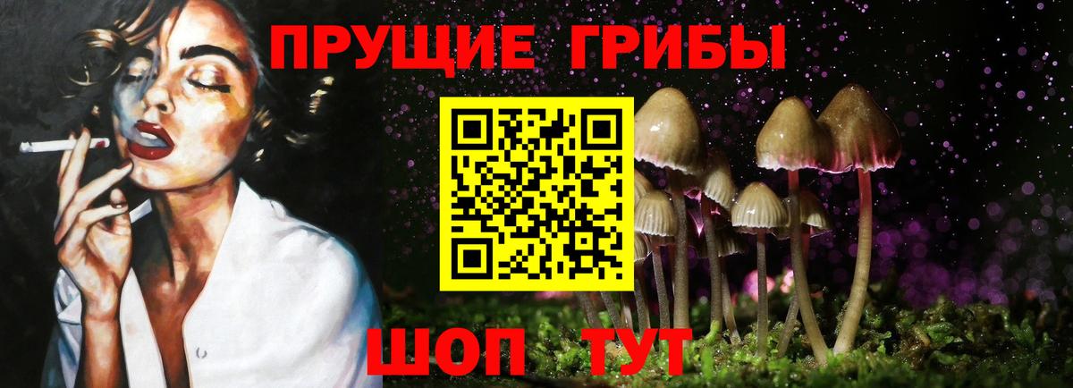 Псилоцибиновые грибы прущие грибы Липецк